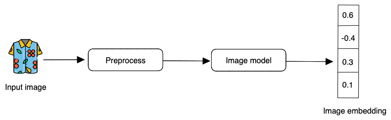Image model